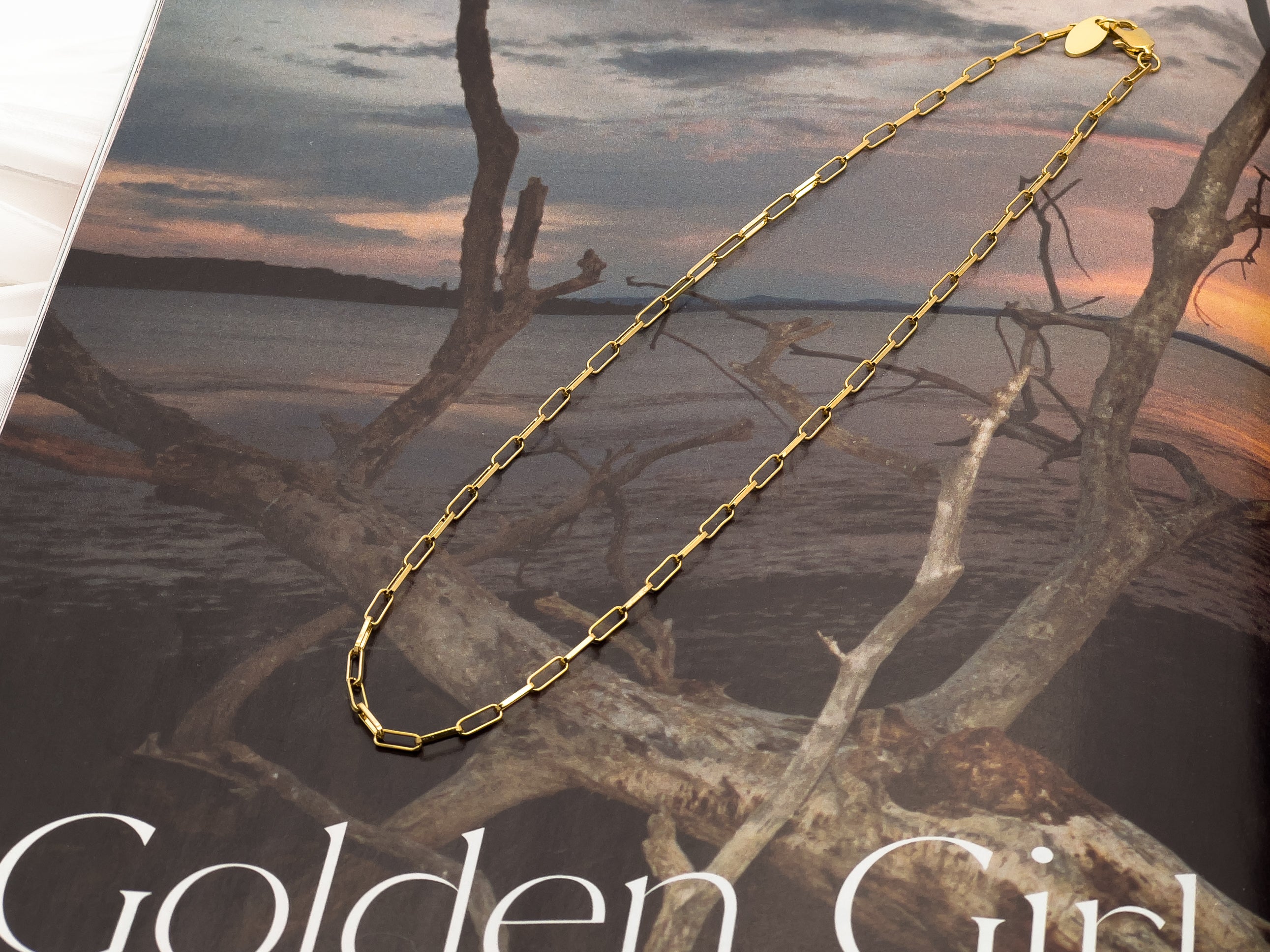 Sophia Mini Gold Chain Necklace - Jewelry Shop | Chic Chic Bon